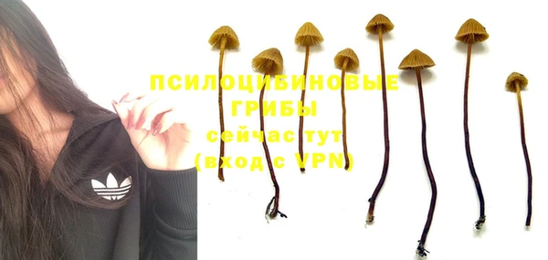 прущая мука Володарск
